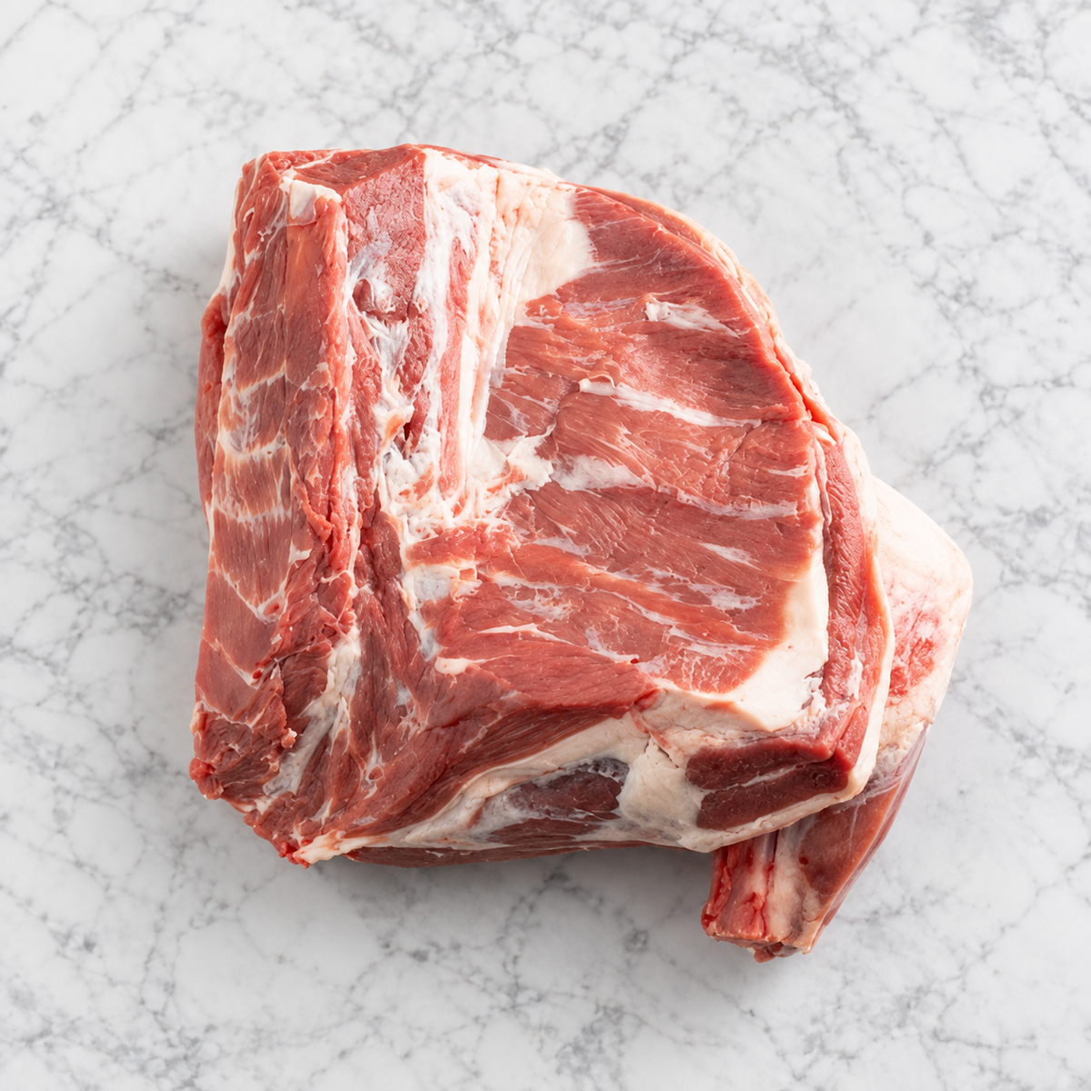 Lamb Shoulder on bone